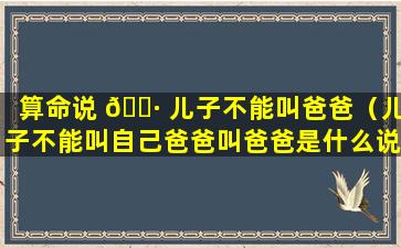 算命说 🌷 儿子不能叫爸爸（儿子不能叫自己爸爸叫爸爸是什么说法）